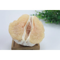 2021 Wholesale High Quality Fresh Citrus Fruit Yellow Shaddock Honey Pomelo